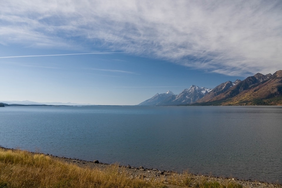 Contact Montana Gun Slings